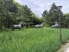 -元大都城垣遗址公园