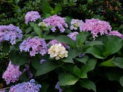 -常州古运河南大街文化旅游区-人民公园