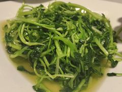 鸡毛菜-华盛丰温州大排档(东三环南路店)