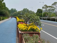 -苏州太湖湖滨国家湿地公园
