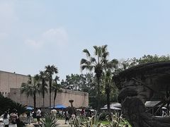 -自贡恐龙博物馆