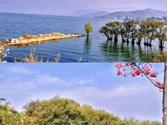 -大理洱海