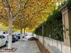 -天津东丽湖风景区