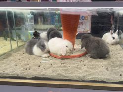 -meland亲子乐园•派对•研学(苏州悠方购物中心店)