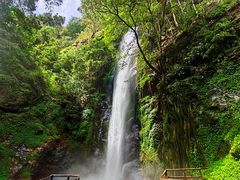 -莫里热带雨林景区
