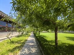 -老龙头景区