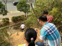 -青龙山国家森林公园