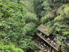 -莫干山风景区
