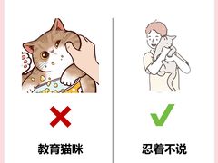 -翊宠yipet猫狗购宠庄园犬舍•猫舍