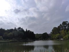 -三水森林公园
