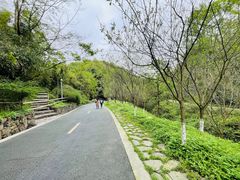 -都江堰中华大熊猫苑
