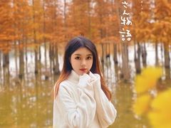 -白鹭湾湿地公园