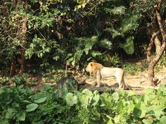 -广州长隆野生动物世界