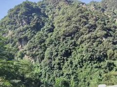 -秦岭风景区