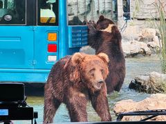 -北京野生动物园