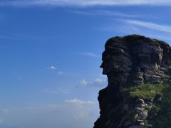 -秦岭风景区