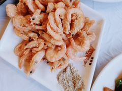 -京北渔家傲