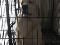 -八公叔叔宠物美容连锁(春申店)