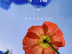 -上海滨江森林公园