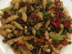 iphone_upload_pic-五龙客家风情园