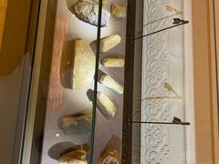 -呼和浩特博物馆
