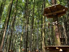 -山王坪喀斯特国家生态公园