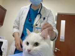 -美联众合动物医院·24h转诊中心