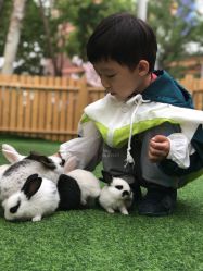 -萌宠亲子动物乐园(槐房万达店)