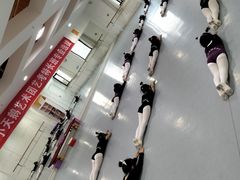 -西安小天鹅艺术团(金花路校区)