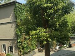 -徐家汇源景区-衡山坊