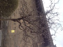 iphone_upload_pic-山西王家大院