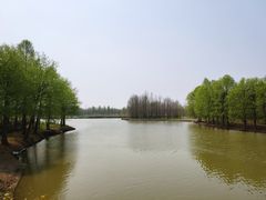 -上海海湾国家森林公园