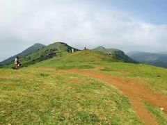 -大姆山草场