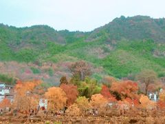 -塔川景区
