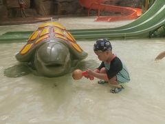 -杭州开元森泊度假乐园