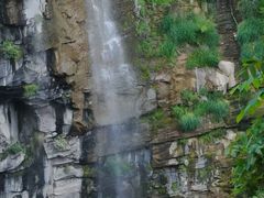 -王莽岭风景区