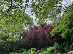 -上海共青森林公园