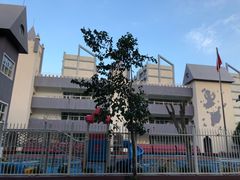 -深圳市南山区育才第四幼儿园