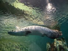 -上海海洋水族馆