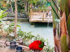 -南宫五洲植物乐园