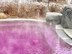 -清河半岛温泉度假酒店