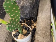 -蜀厨小匠·民间川菜(犀浦店)