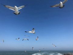 -海驴岛(荣成市)