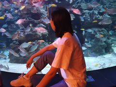 -成都浩海立方海洋公园