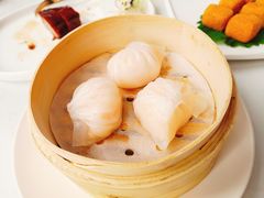虾饺-喜粤8号(四海唐人街店)