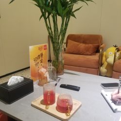 -娇莉芙美颜SPA连锁