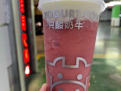 -一只酸奶牛(曲江龙湖星悦荟店)