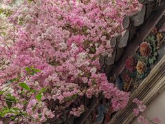 -深圳国际园林花卉博览园