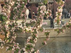 -元大都城垣遗址公园