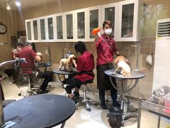 -宠物家(双井店)